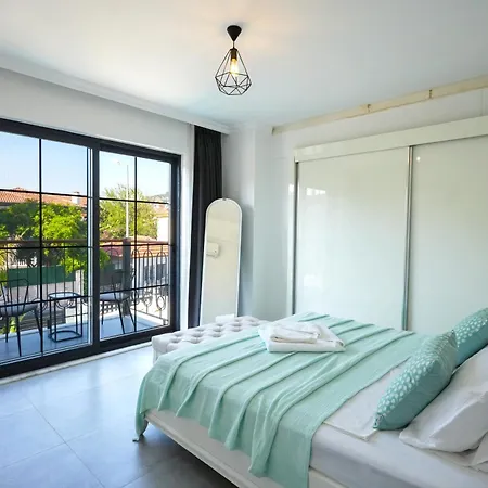 Oliva فيلة داليان