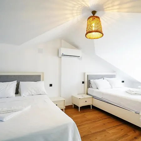 Oliva * داليان