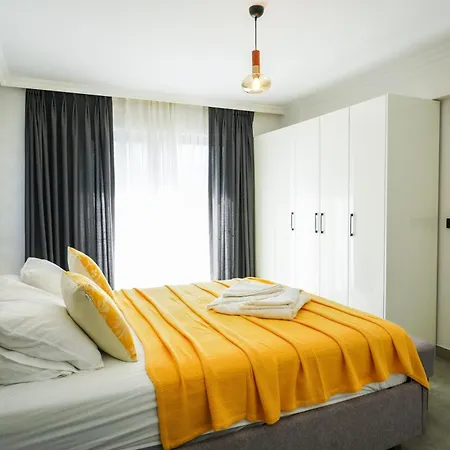 Oliva فيلة داليان